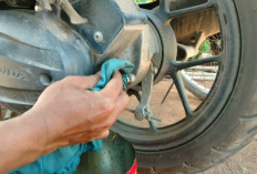 5 Oli Gardan Vario 125 Terbaik 2025, Bikin Mesin Awet!