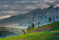 20 Tempat Wisata di Batu Malang yang Lagi Hits 2025