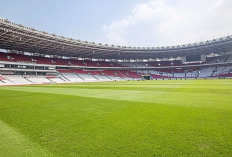 Mantap! Kondisi Terkini Rumput GBK Mulai Membaik Jelang Laga Timnas Indonesia vs Jepang dan Arab Saudi