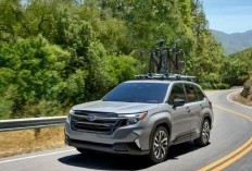 10 Mobil SUV Terbaik 2025 di Indonesia, Nyaman dan Tangguh!
