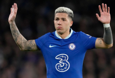 Chelsea Buka Suara Terkait Dugaan Nyanyian Rasisme Enzo Fernandez, Bakal Kena Sanksi?