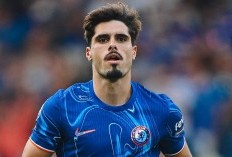 Chelsea Bakal Cadangkan Pedro Neto Saat Lawan Wolves, Joao Felix Starter?