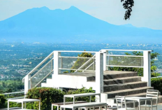 7 Tempat Wisata Keluarga di Sentul yang Murah dan Instagramable 2025