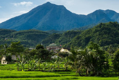 15 Tempat Nongkrong di Bogor View Bagus & Instagramable 2025