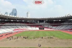GBK Akhirnya Renovasi Rumput Usai Sempat Dapat Kritikan Tajam dari Netizen Indonesia