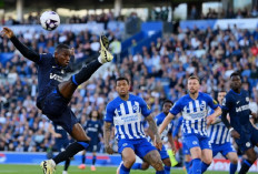 Prediksi Brighton vs Chelsea di Liga Inggris 2024/25 - Balas Dendam The Blues!