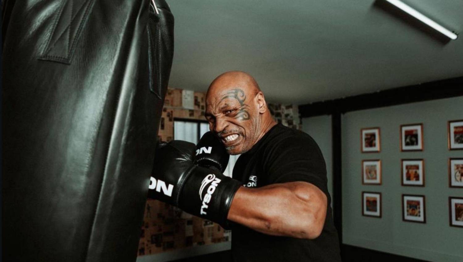 Tyson Fury Yakin Mike Tyson Akan Jotos KO Jake Paul di Usia 58 Tahun