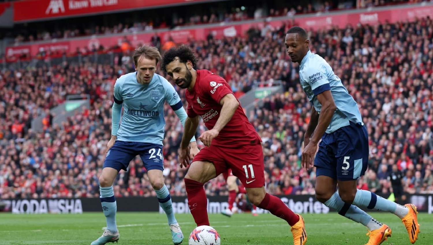 Jadwal Liverpool vs Brentford di Liga Inggris 2024/2025: Pertarungan Sengit Demi 3 Poin