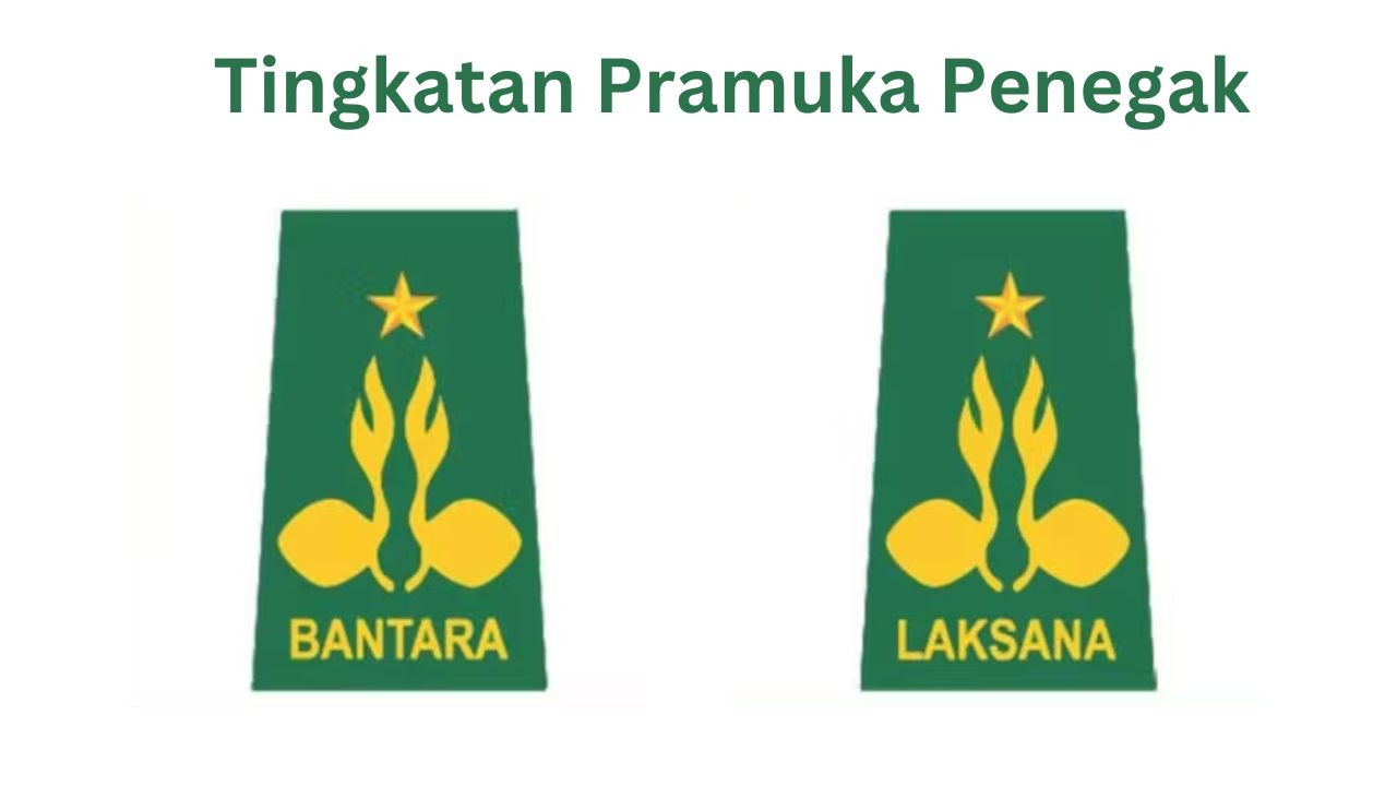 2 Tingkatan Pramuka Penegak Lengkap dengan Penjelasannya