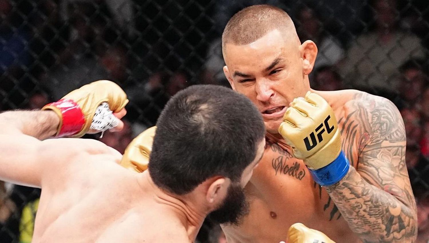 Hasil UFC 302, Islam Makhachev Kalahkan Dustin Poirier dengan Kuncian Mematikan
