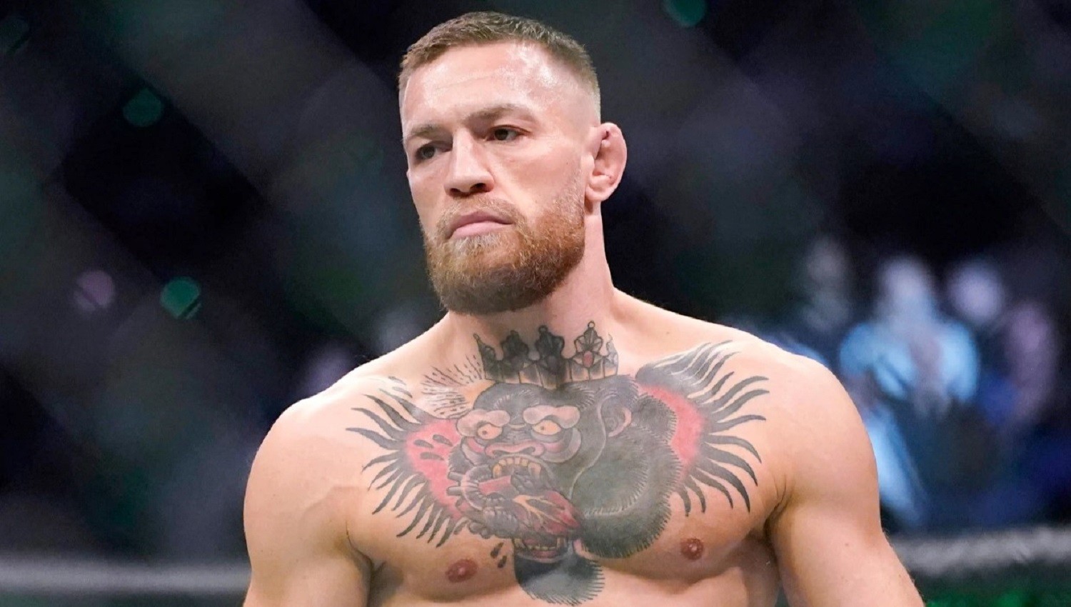 Conor McGregor Pasang Taruhan Besar, Yakin Cristiano Ronaldo Raih Golden Boot Euro 2024