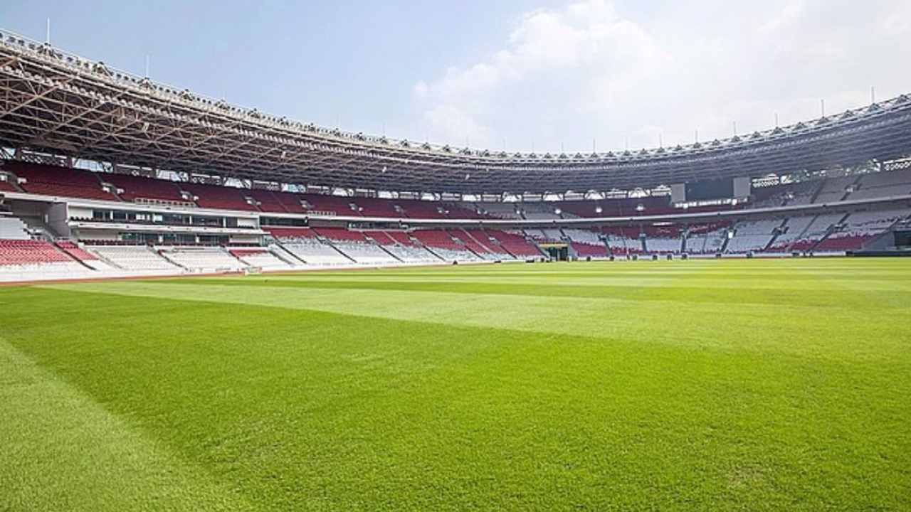 Mantap! Kondisi Terkini Rumput GBK Mulai Membaik Jelang Laga Timnas Indonesia vs Jepang dan Arab Saudi